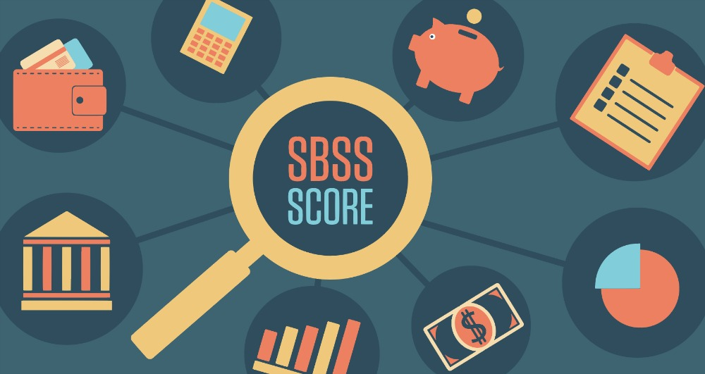 graphic on the components of a SBSS score